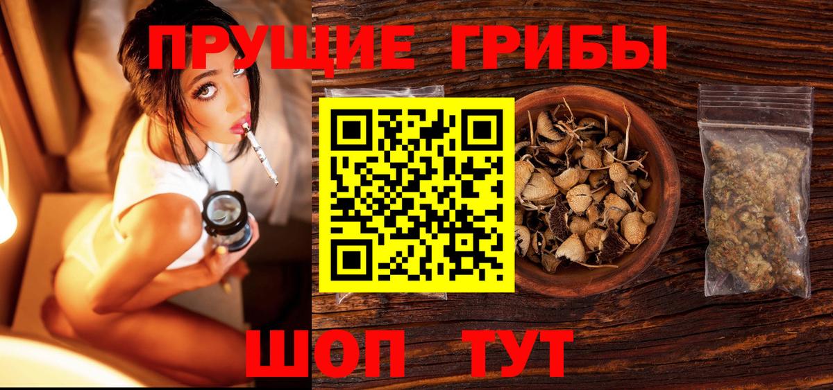 Галлюциногенные грибы Psilocybe Истра